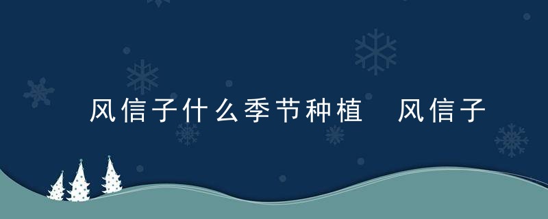 风信子什么季节种植 风信子的种植方法